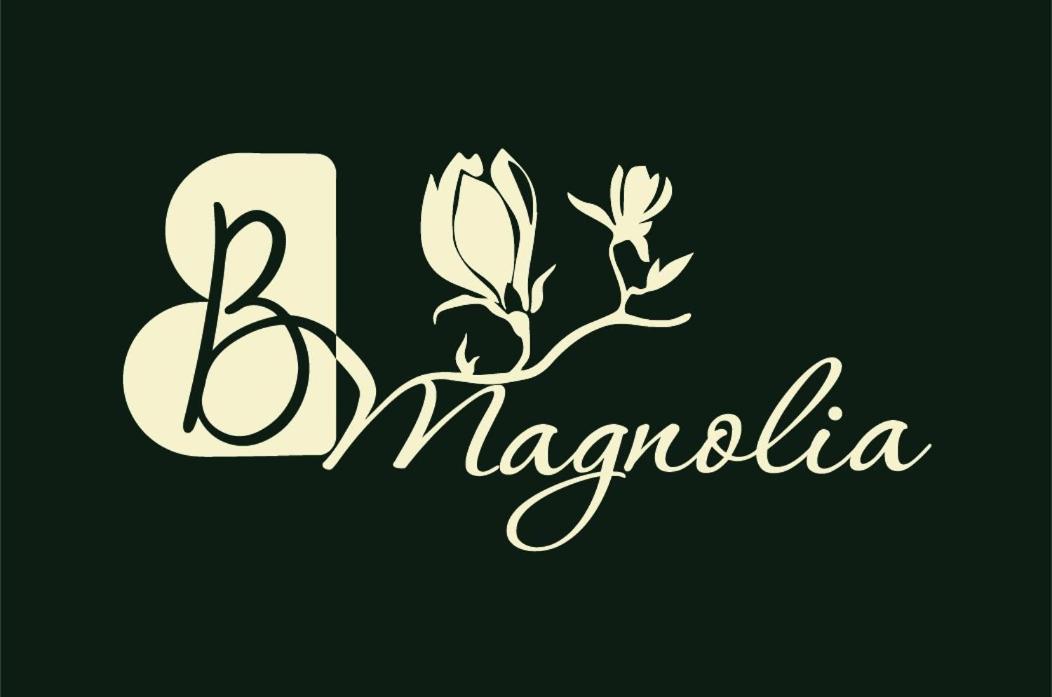 Casa Magnolia, Tranquilla E Centrale Apartamento Nichelino Exterior foto